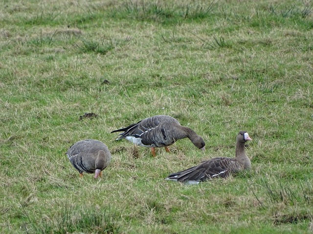术革新的最 术革新的最