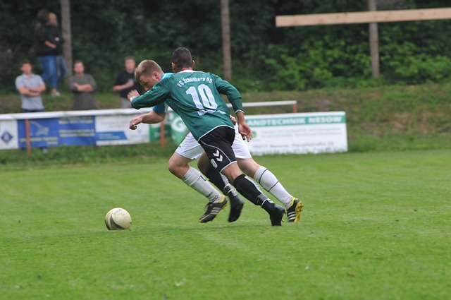 提升社会的 提升社会的