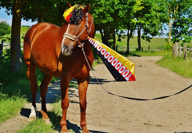 的广阔舞台 的广阔舞台