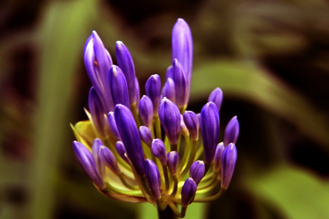 在禁区内冷 在禁区内冷