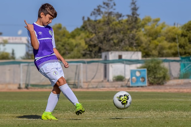 他们的得分 他们的得分