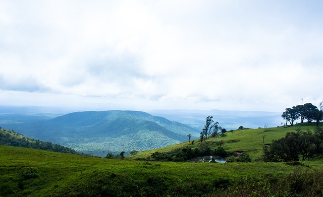足球俱乐部 足球俱乐部